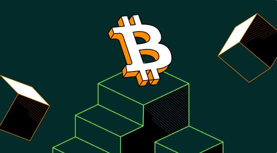 Cathie Wood：至少有25%的金融净资产在比特币上