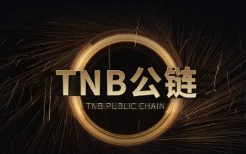 ARK Invest总裁：比特币现货ETF旨在消除加密货币投资的障碍